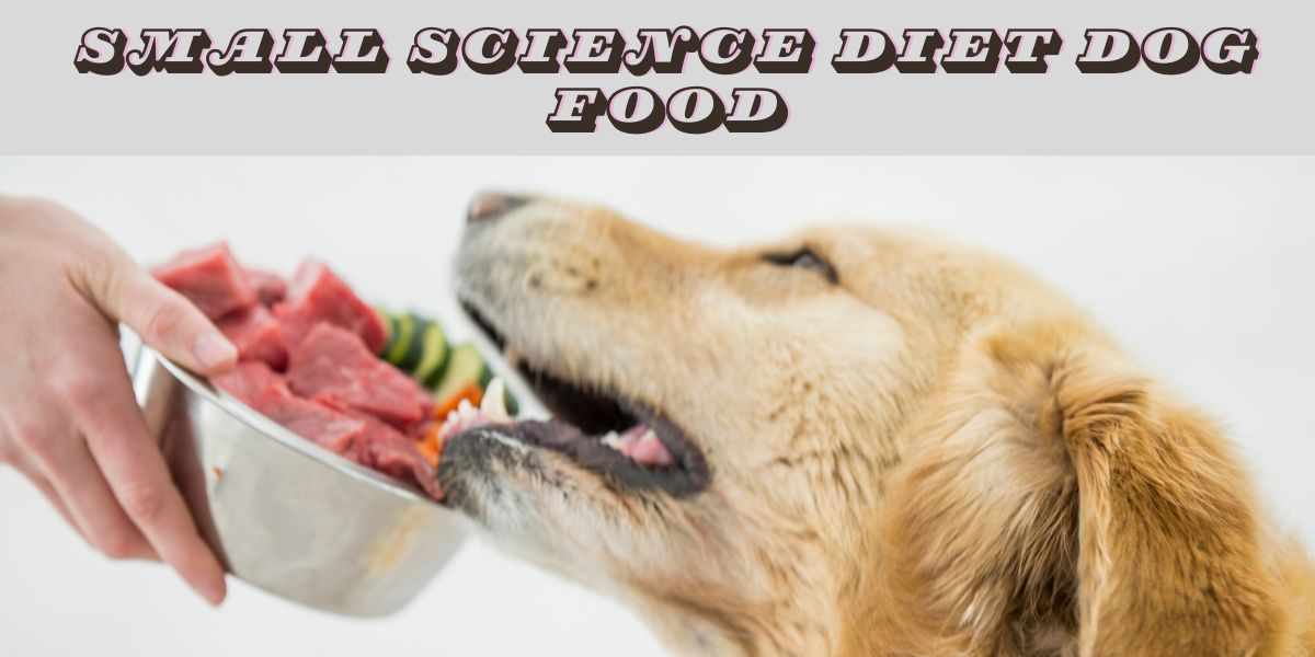 Small science diet dog food