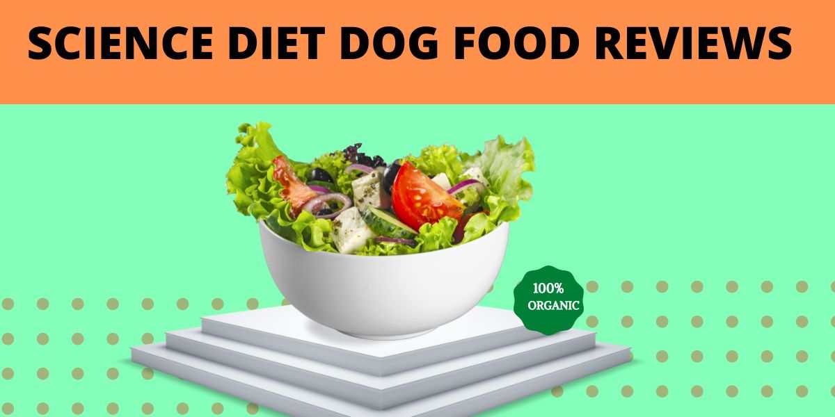 science diet dog food reviews