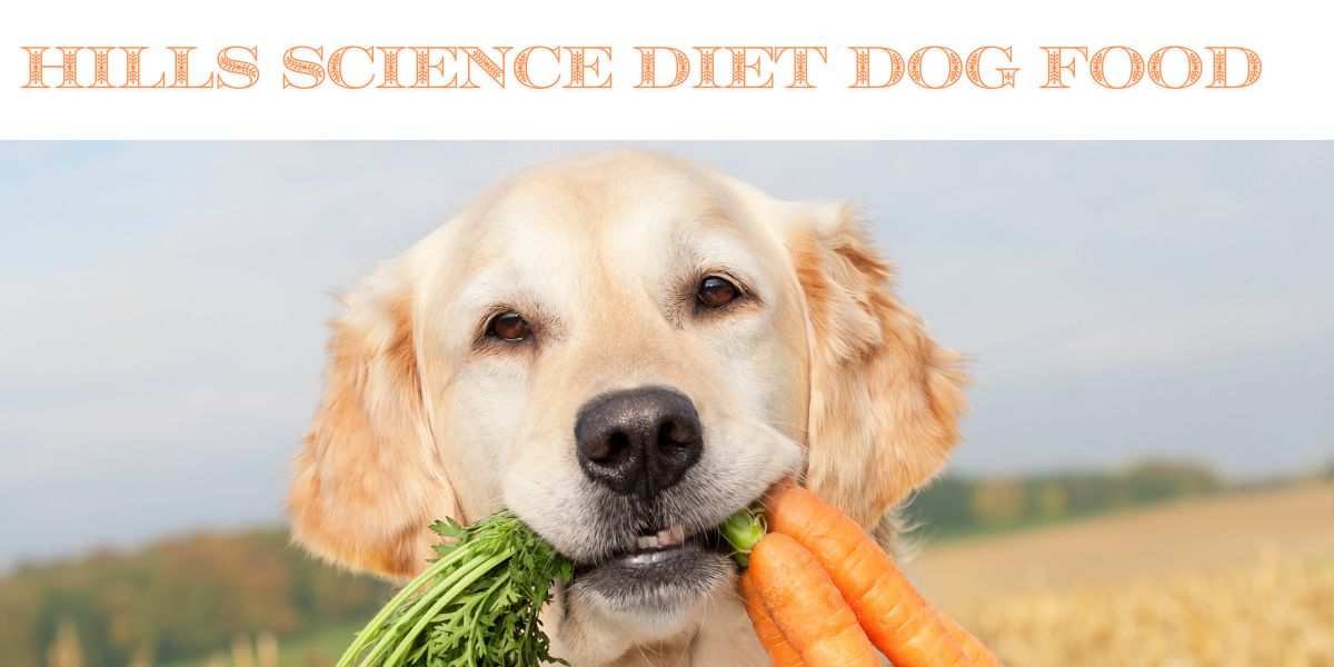 Hills science diet dog food