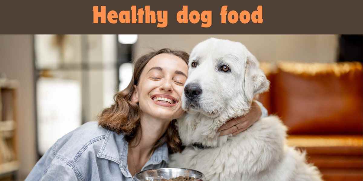 Healthy dog food