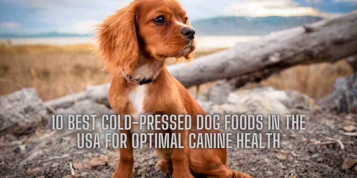 10 Best Cold-Pressed Dog Foods in the USA for Optimal Canine Health