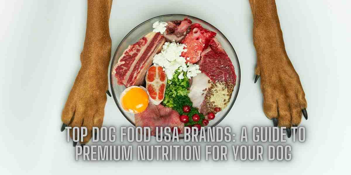 Top Dog Food USA Brands: A Guide to Premium Nutrition for Your Dog