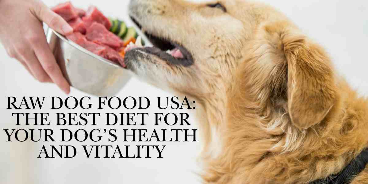 Raw Dog Food USA: The Best Diet for Your Dog’s Health and Vitality