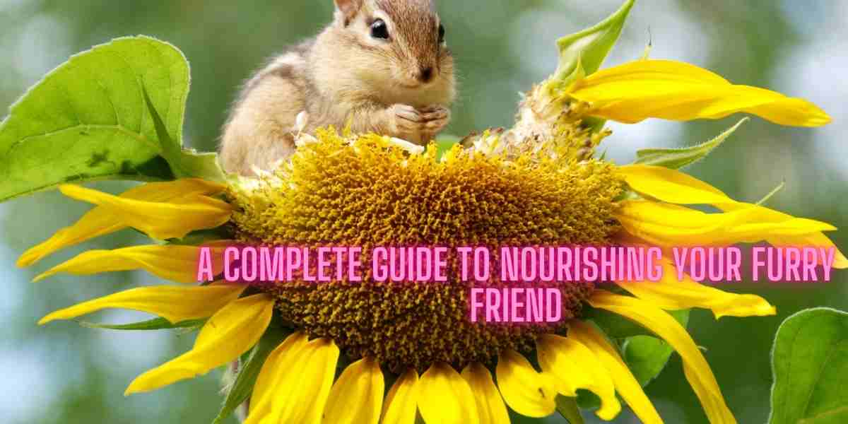 A Complete Guide to Nourishing Your Furry Friend