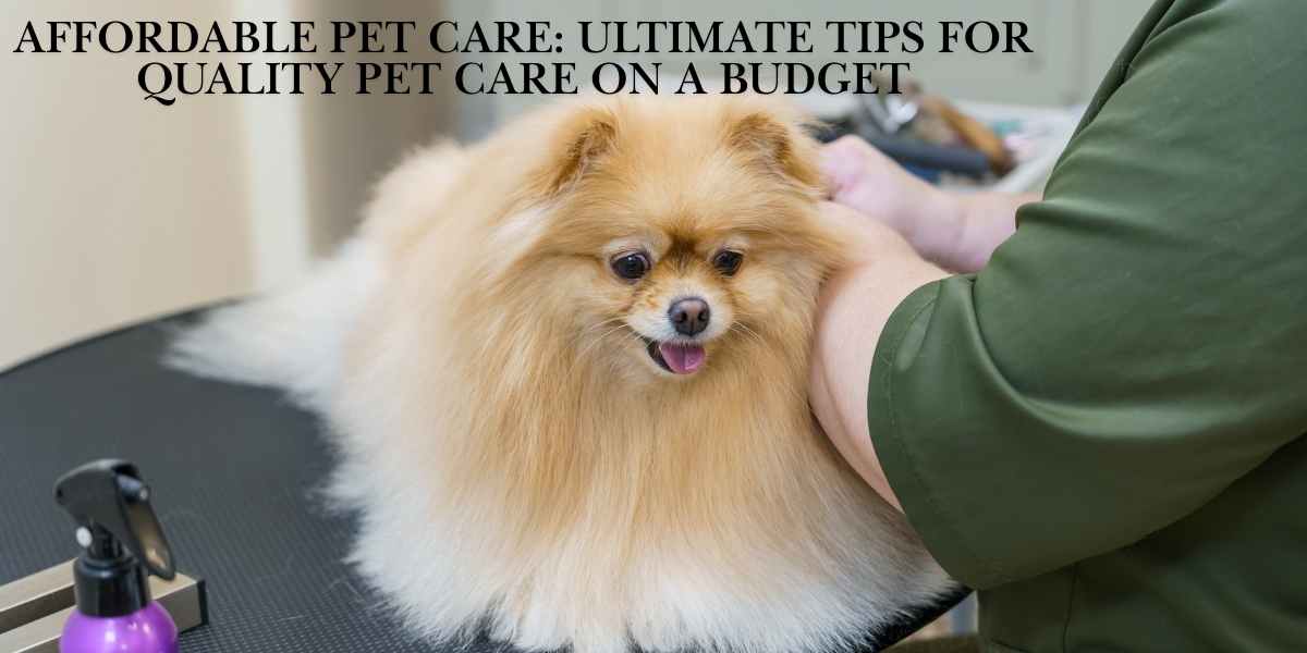 Affordable Pet Care: Ultimate Tips for Quality Pet Care on a Budget