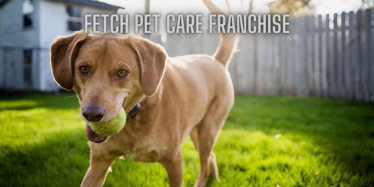 Fetch Pet Care Franchise