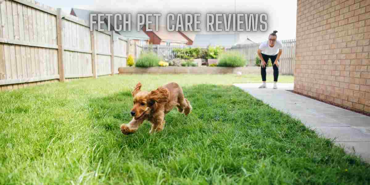 Fetch pet care reviews