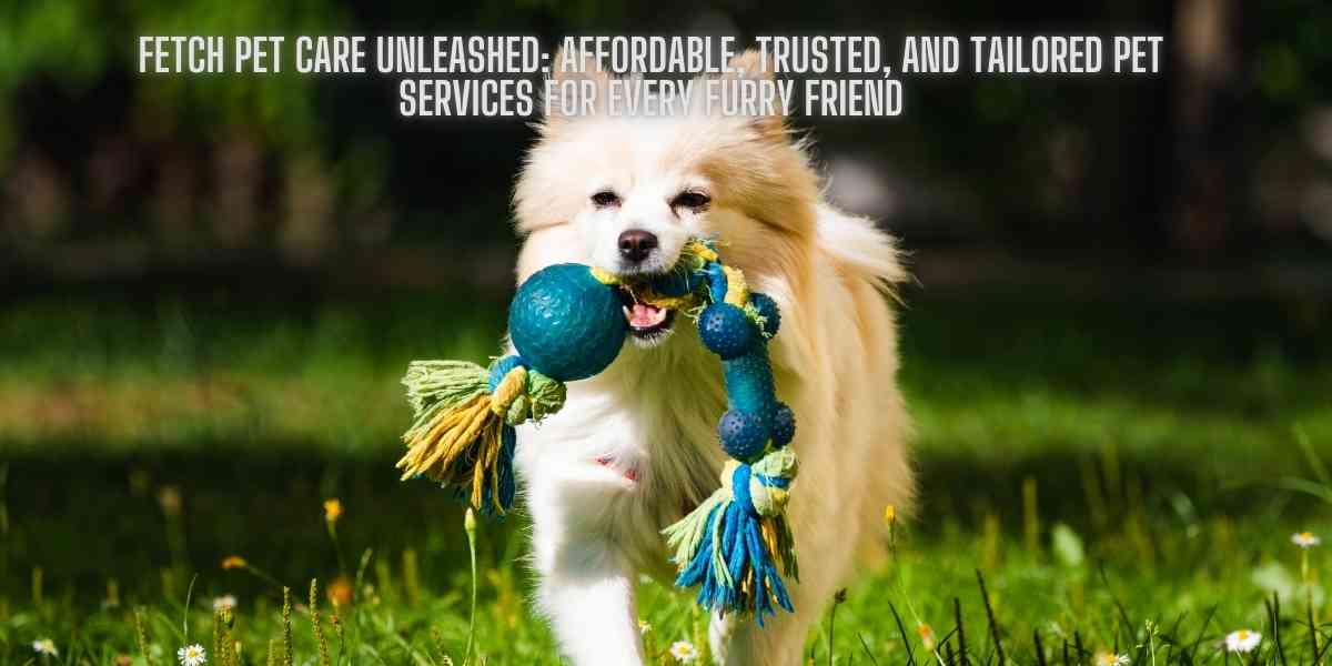 Fetch Pet Care Unleashed: Affordable, Trusted, and Tailored Pet Services for Every Furry Friend