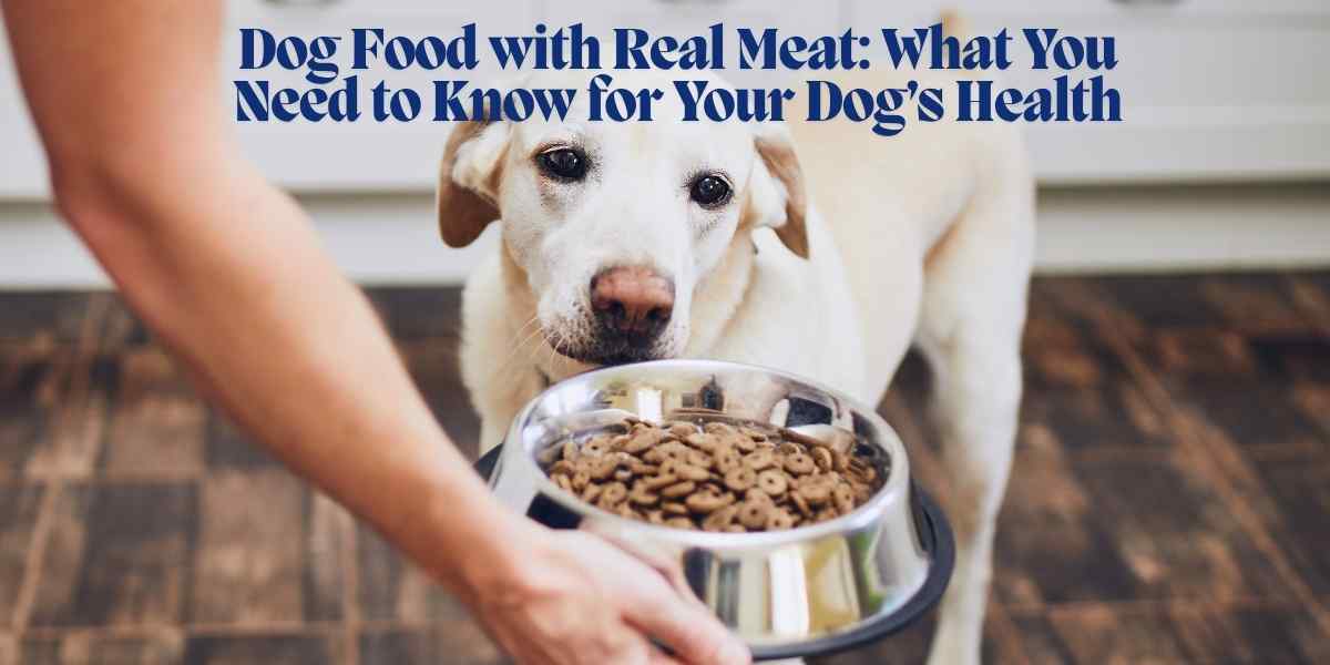 Dog Food with Real Meat: What You Need to Know for Your Dog’s Health