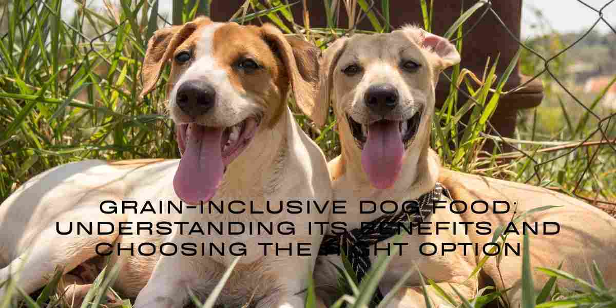 Grain-Inclusive Dog Food: Understanding Its Benefits and Choosing the Right Option