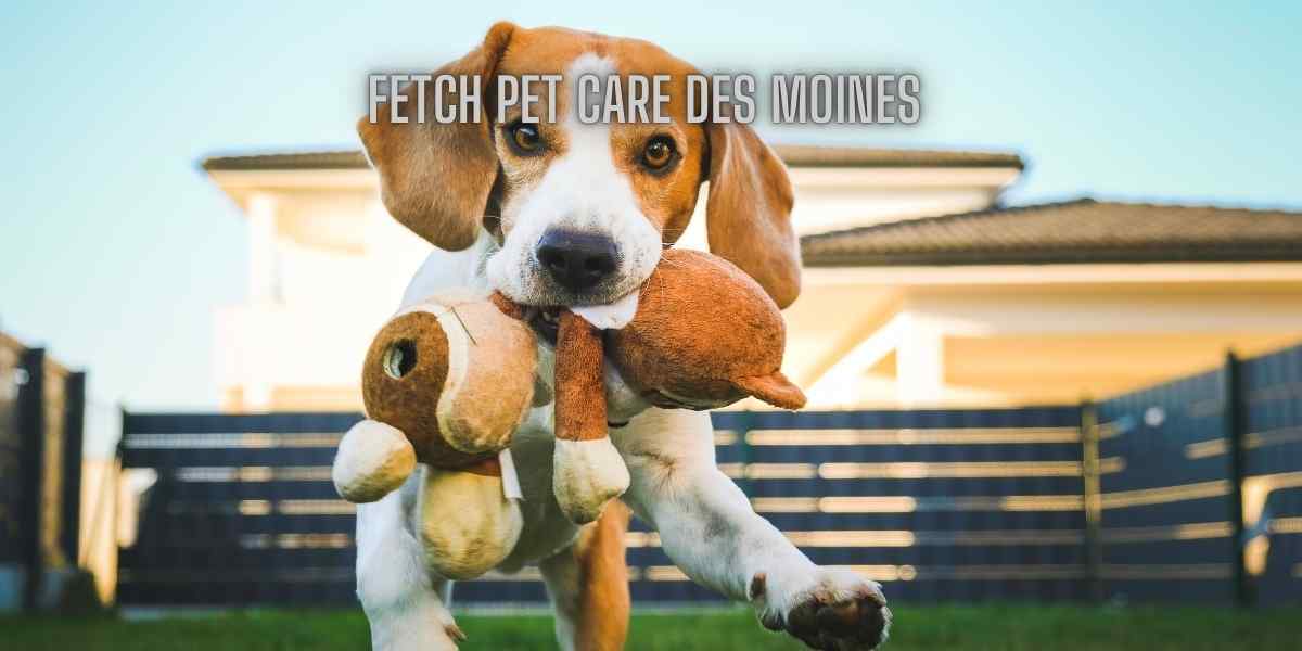 Fetch pet care des Moines