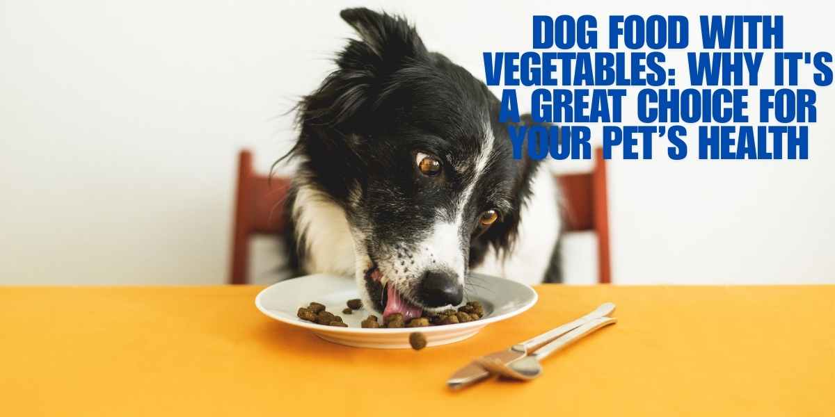 Dog Food with Vegetables: Why It's a Great Choice for Your Pet’s Health