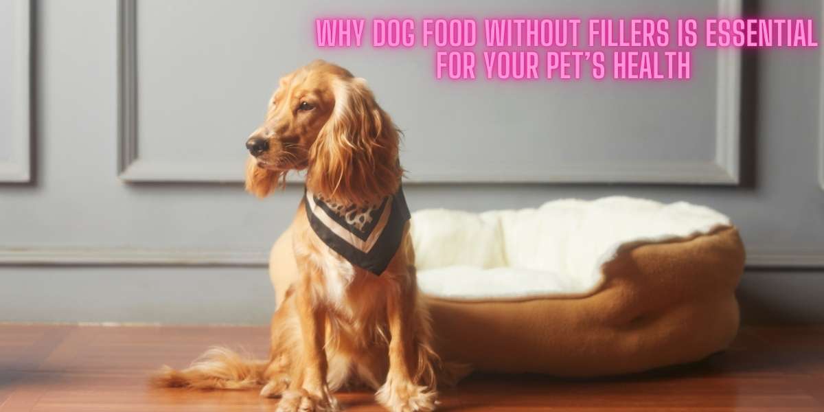 Why Dog Food Without Fillers is Essential for Your Pet’s Health