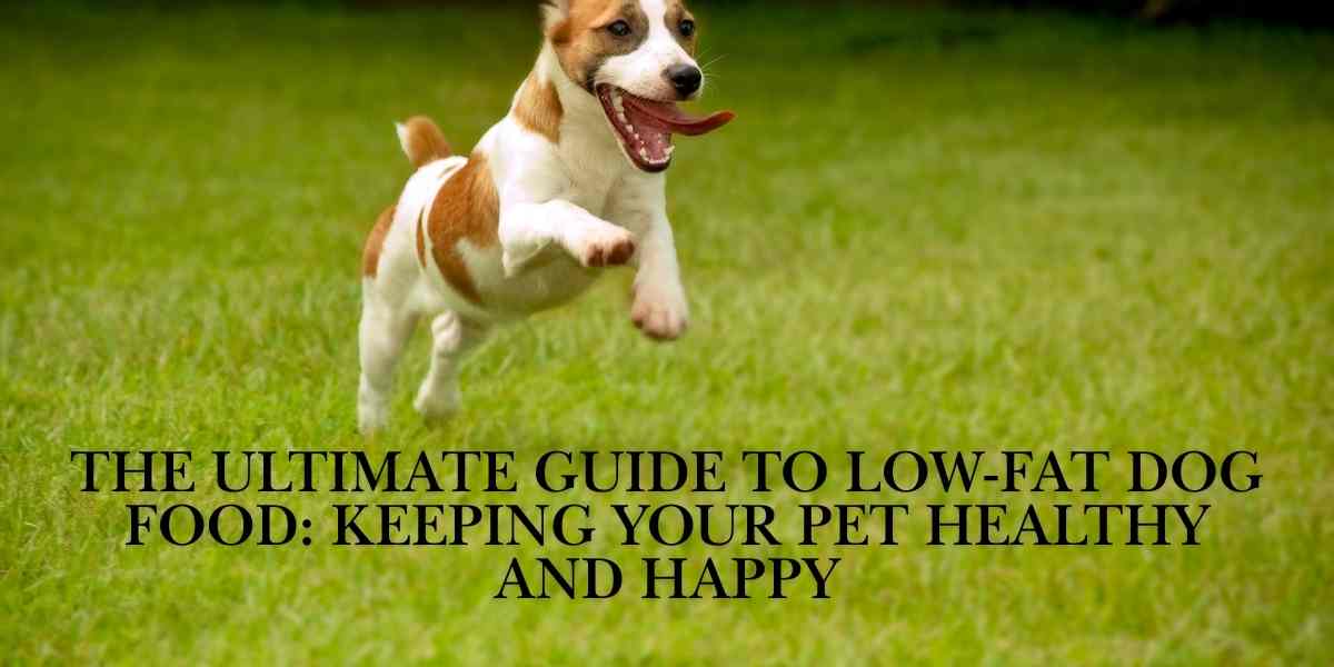 The Ultimate Guide to Low-Fat Dog Food: Keeping Your Pet Healthy and Happy