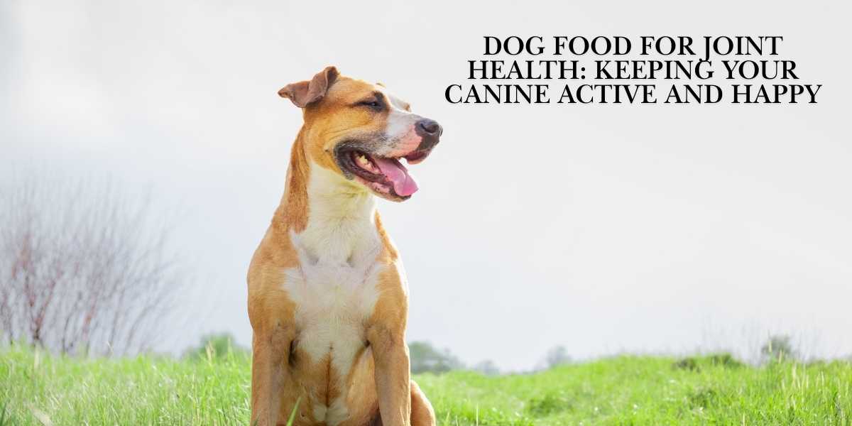 Dog Food for Joint Health: Keeping Your Canine Active and Happy