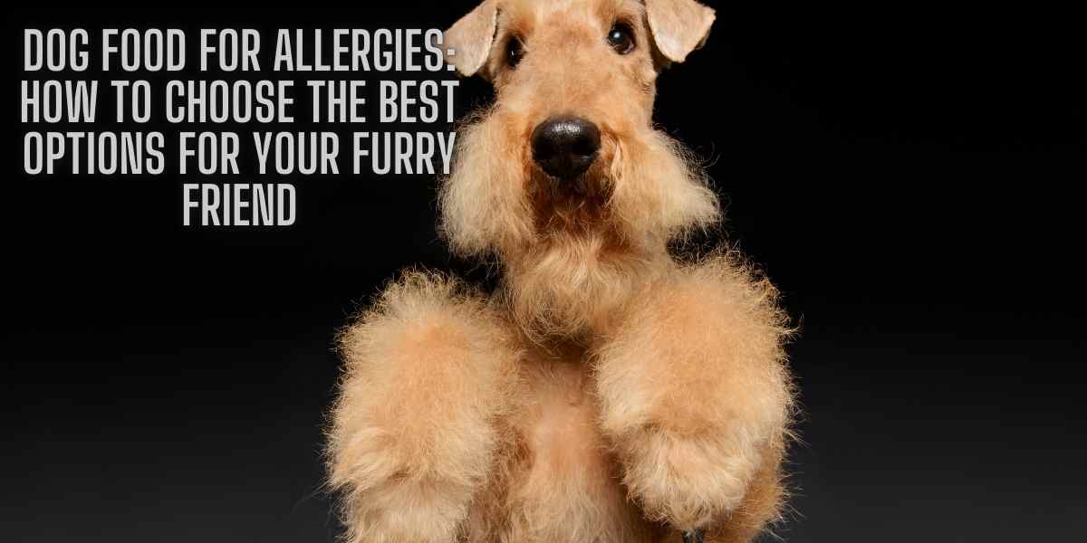 Dog Food for Allergies: How to Choose the Best Options for Your Furry Friend