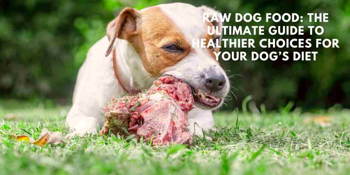 Raw Dog Food: The Ultimate Guide to Healthier Choices for Your Dog’s Diet