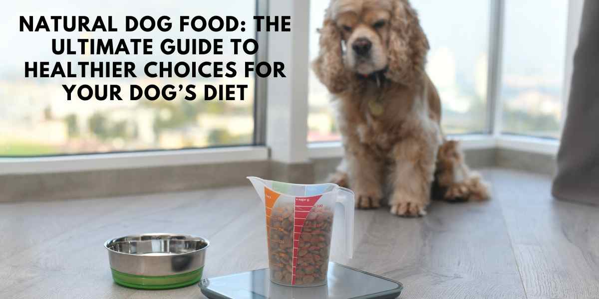 Natural Dog Food: The Ultimate Guide to Healthier Choices for Your Dog’s Diet