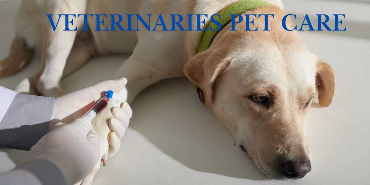 Veterinaries pet care