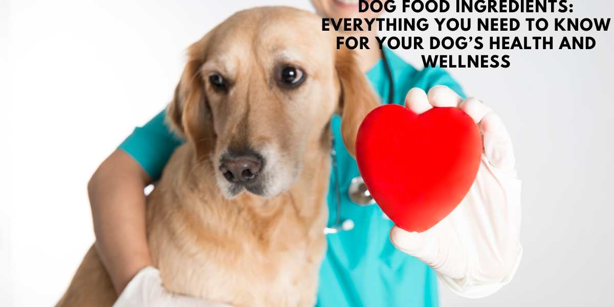 Dog Food Ingredients: Everything You Need to Know for Your Dog’s Health and Wellness