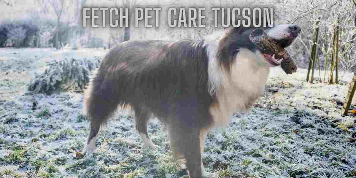 Fetch Pet care Tucson