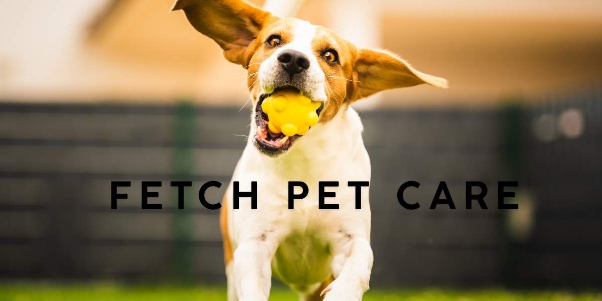 Fetch Pet Care